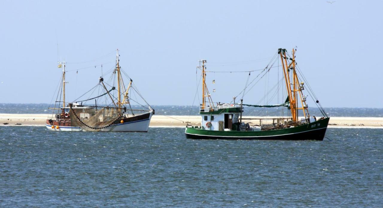 Apartment Borkumunterkunft - Woh2 - Im Herzen Der Insel Borkum